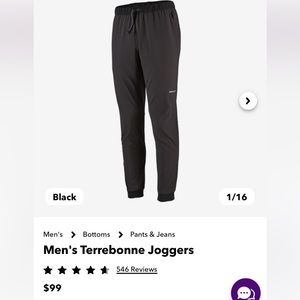 Patagonia Terrebone Joggers